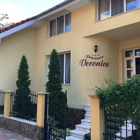 Pensiunea Veronica Băile Felix Esterno foto