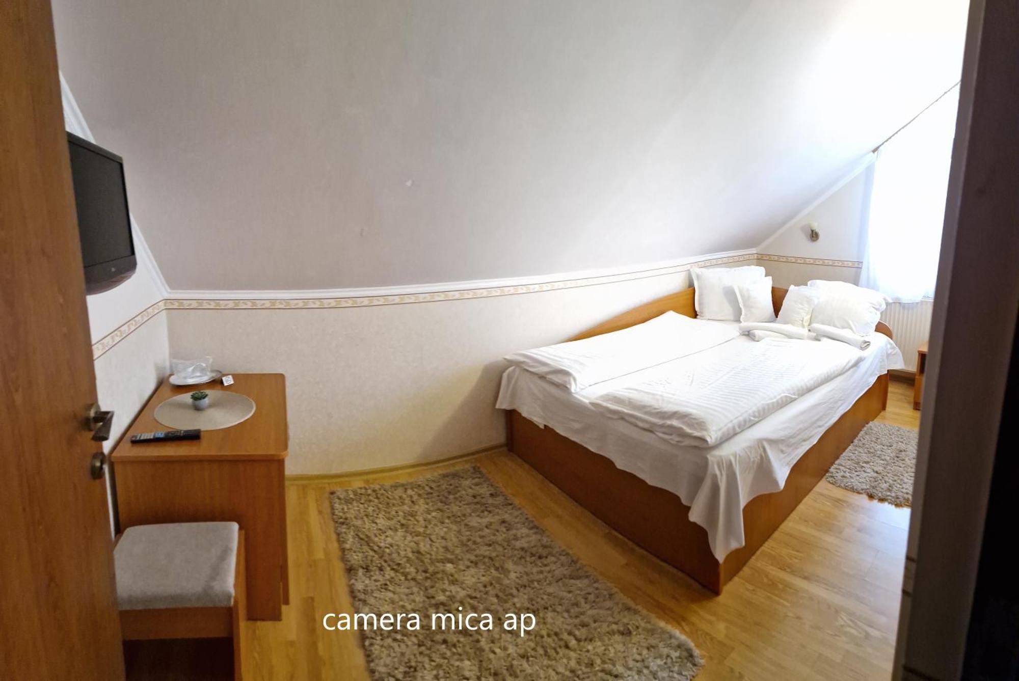 Pensiunea Veronica Băile Felix Camera foto