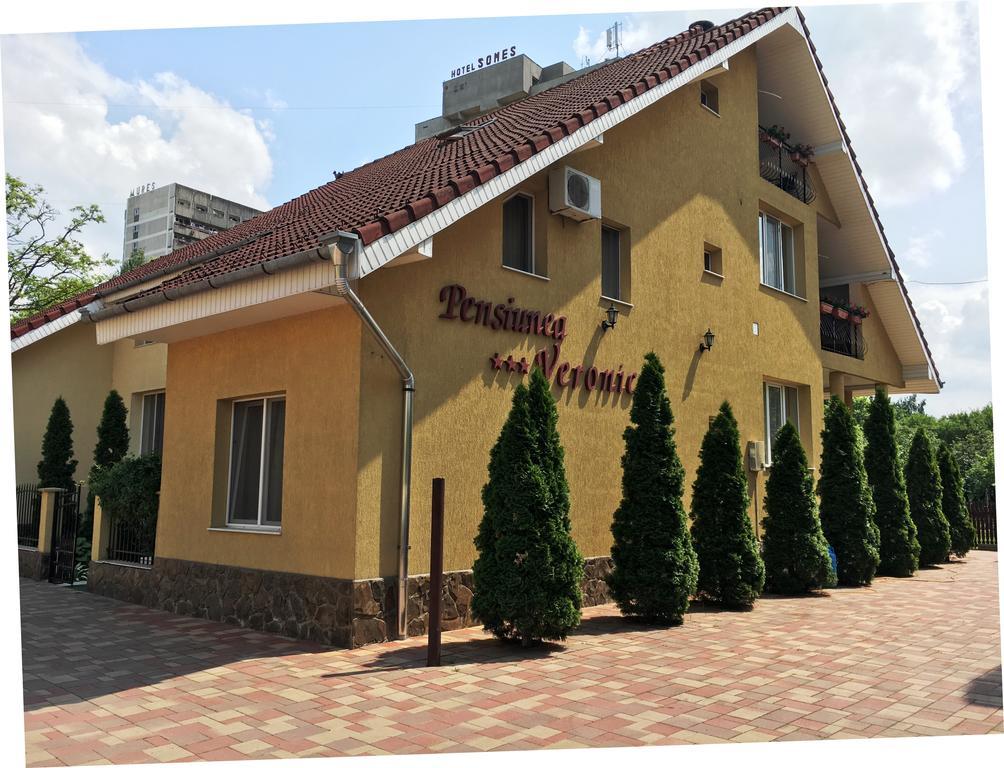 Pensiunea Veronica Băile Felix Esterno foto